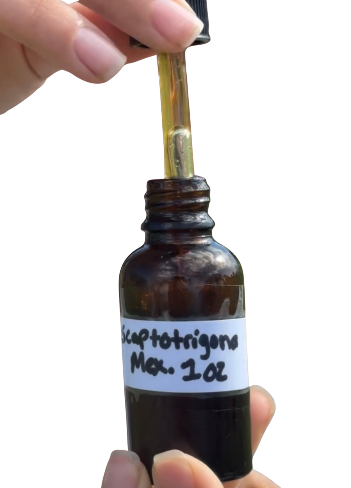 Stingless Bee Honey ||  Miel De  Melipona