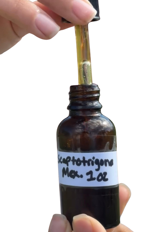 Stingless Bee Honey ||  Miel De  Melipona